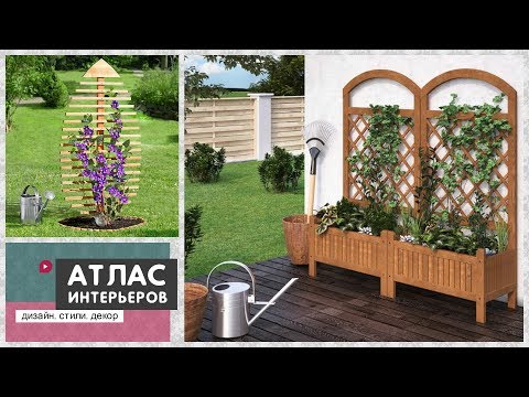 Video: Vyun - plant voor huis en tuin. Beschrijving en foto