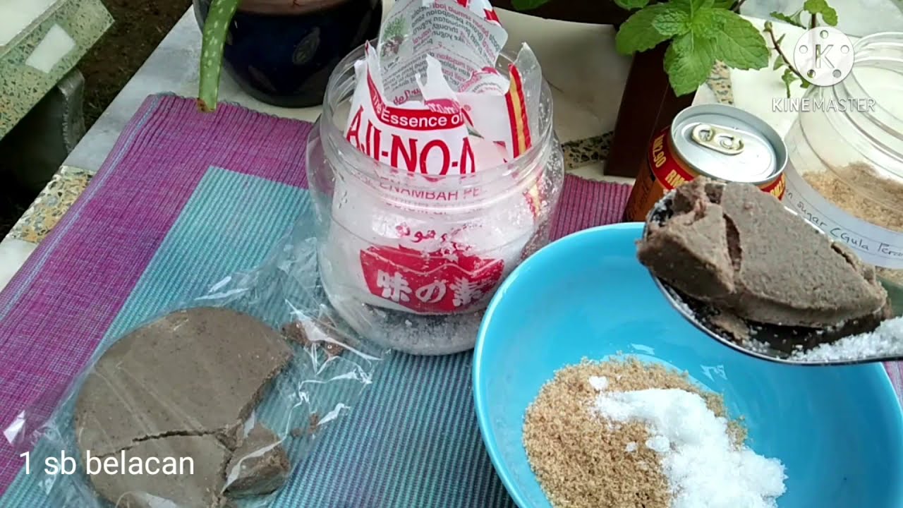 HORMON PENGGALAK AKAR CARA THAILAND ( ROOT ACCELERATOR )