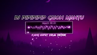 DJ OLD PIPIPIPIP CALON MANTU X KANG COPET VIRAL TIKTOK 2023