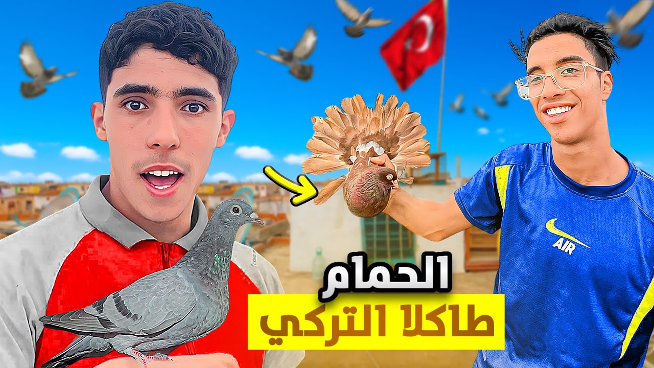 توليعة مع الحمام: تربية الحمام🕊️طاكلا التركي واخيراً طيرنا الحمام 😍