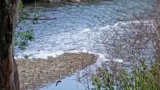 God is real. devil is real. Debate me. I'm crazy. heal, world lies, trauma, shame, anger, conviction