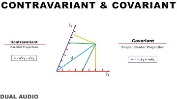 3/3 Contravariant and Covariant tensor | In Hindi