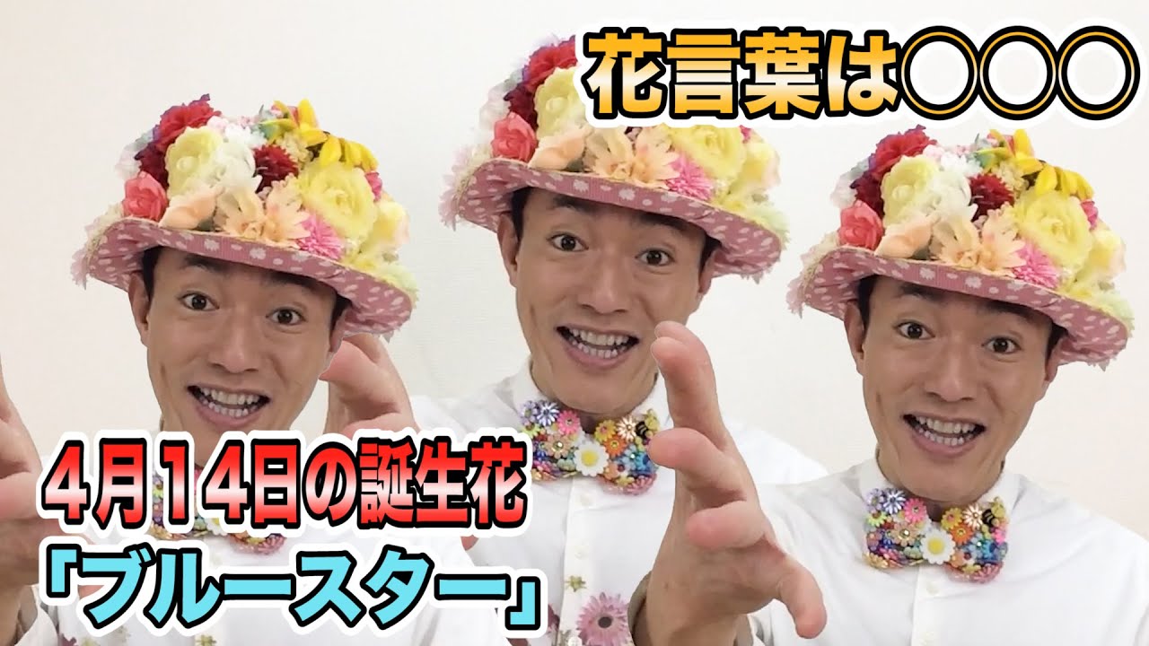 4月14日の誕生花は ブルースター その花言葉は 友達の誕生日に送ろう お花くん Youtube