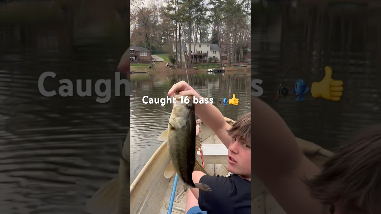 Caught 16 bass on Saturday 🎣👍
