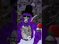 Should I Apply For the AA Badge #monkey #music #shurh #meme