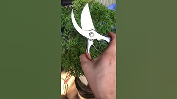 Kéo đúc thép nguyên khối.giá 450k///lh 0943860285