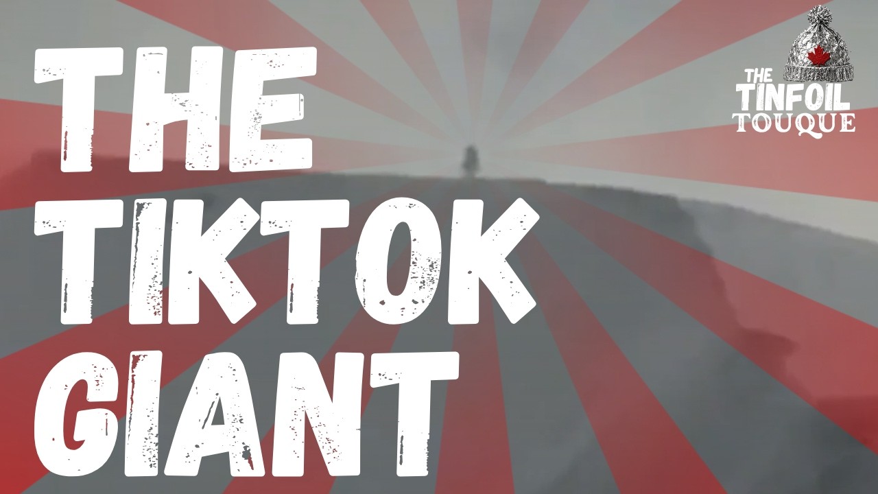 The TikTok Giant