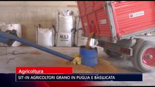 TG TELE APPULA 211 - AGRICOLTURA, SIT-IN AGRICOLTORI GRANO IN PUGLIA E BASILICATA