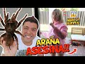 MI NUEVA MASCOTA ATACA A MI NOVIA! TARÁNTULA GIGANTE 🕷🤣 BROMA ÉPICA | OSO 🐻