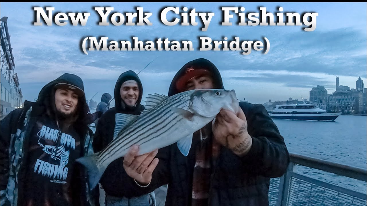 New York City Striper Fishing Lower Manhattan Pier 35 YouTube