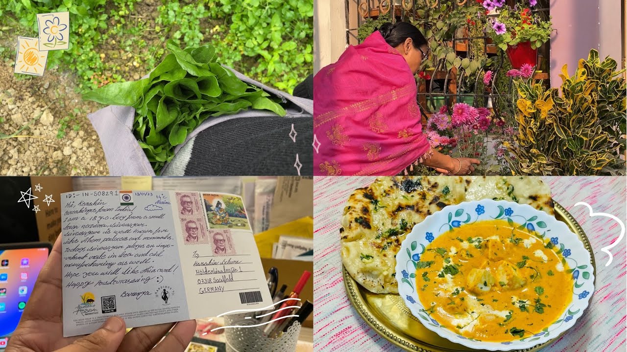 🥦 organic winter vegetables harvesting | 💌 postcrossing with me | paneer butter masala recipe