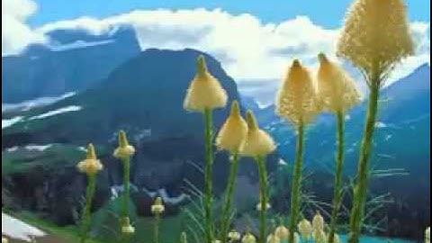 سورة المدثر بصوت ماهر المعيقلي -- YouTube.flv