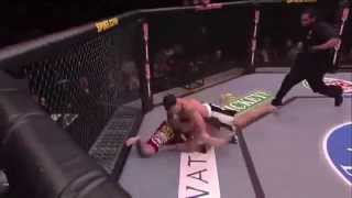 Mejores Golpes De La UFC 2014