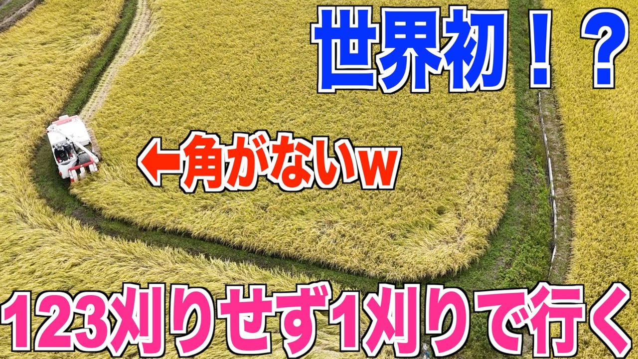 Rice Harvesting] Harvesting the entire perimeter in one cut. A non