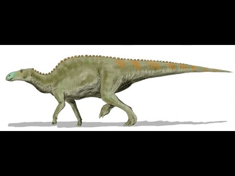 Download 18 Biggest Hadrosaurs