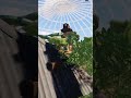 Gold Rush Indoor Waterpark Walking In First Person Planet Coaster 2
