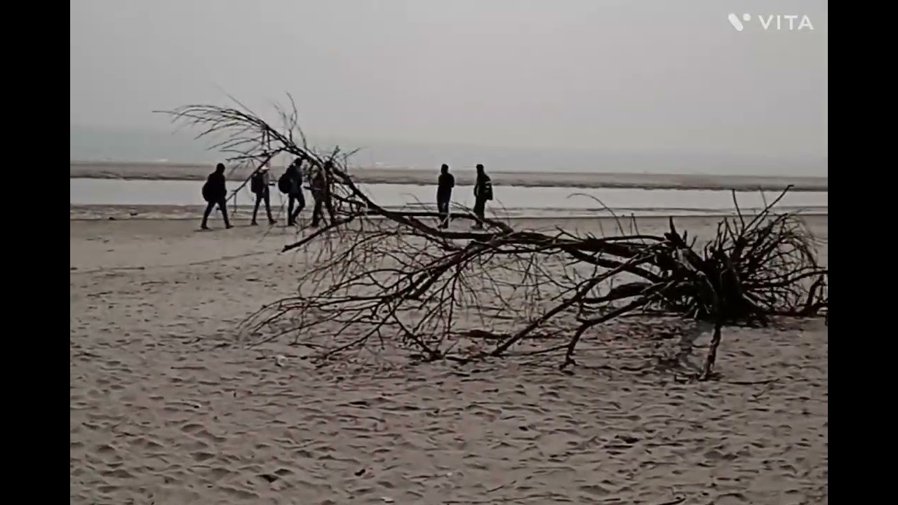 Henry Island Bakkhali | Henry Island | Kolkata South 24 Pragna Tour|Sundari Complex Henry| Bakkhali