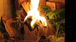 Was tun wenn es brennt?  Regeln bei Feuer ---- Haus am Waldrand brennt.