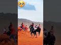 Amazing Horse Riding Moments 🐎🔥 | Beautiful Horse Race & Riding Skills #Shorts