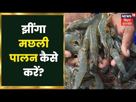 वीडियो: सबसे कठिन कौन है? 5 सबसे कठिन पेशे