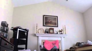 Rainbow Factory Scootaloo Cover