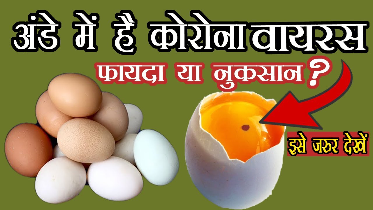 उबले हुए अंडे खाने के फायदे uble ande khane ke fayde boiled egg benefits in Hindi YouTube