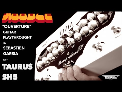 Taurus Stomp-Head 5. Custom Edition guitar amp - Playthrough