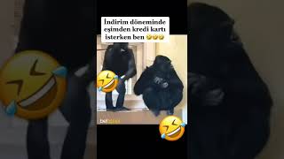 Direnmeye Çalışıyor