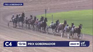 Vidéo de la course PMU PRIX GOBERNADOR