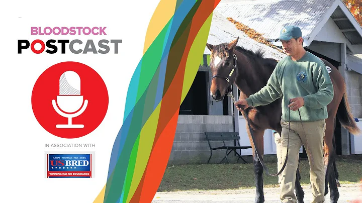 Nancy Sexton Interview | Sales Talk | Breeders' Cu...