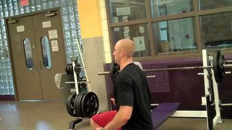 Self Made Exercise Index:  Lunges (Body Weight)