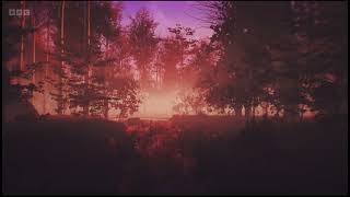 BBC Radio 3 Unwind BBC Sounds Trailer