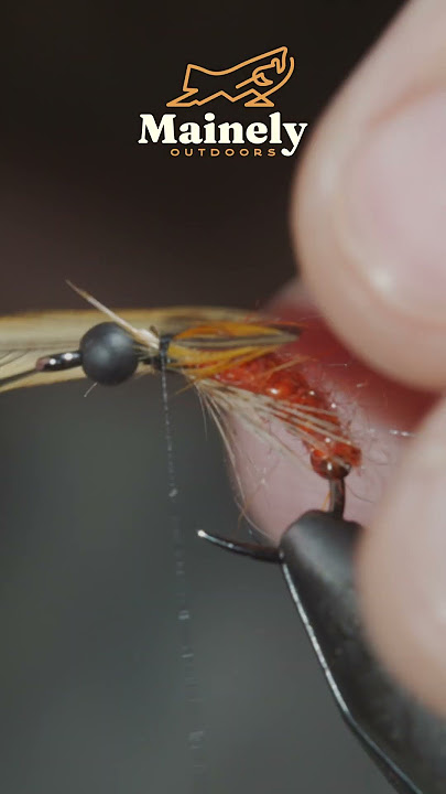 Fly of the Month - Cypret Minnow 
