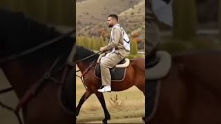 #maths #horse #kurdish