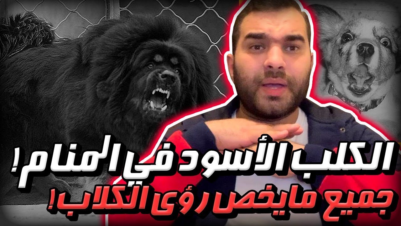 ستندهش ! عندما تعرف ماالذي يحدث لك إن رأيت الكلاب في منامك