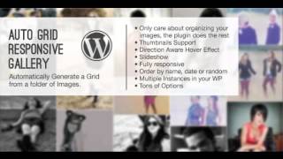 Celebrity Preview Auto Grid Responsive Gallery - WordPress Net Worth