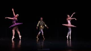 Nutcracker 2024 - "Pas"