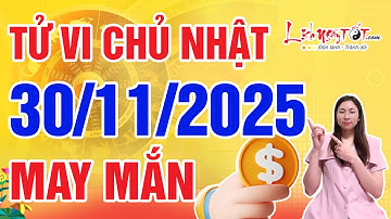Tử Vi Hàng Ngày 30/11/2025 Chủ Nhật Đoán Ngay Con Giáp May Mắn Hơn Người Tiền Vàng Tăng Vọt