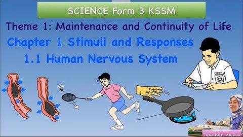 SCIENCE KSSM F3C1: 1.1 Human Nervous System