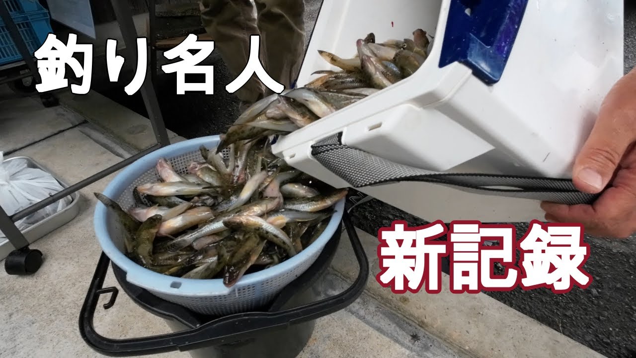 釣り名人の記録　ハゼ編