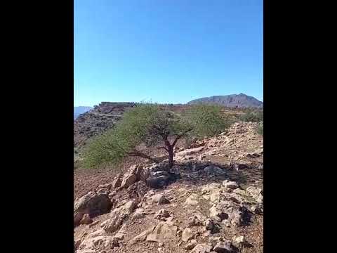 ن لخنيفري خنيفرة خنيفرة ازرو ميدلت بني ملال الحاجب ازيلال الشتاء الطبيعة مايريخ النشاط