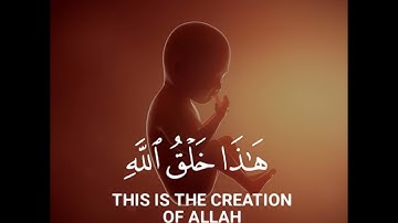 تلاوة هادئة وقصيرة  || القارئ : ياسر الدوسري || سورة : لقمان 🌷💚🌷