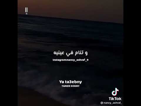 تامر حسني عمرها حصلتلك دي خرافه حالات واتس 