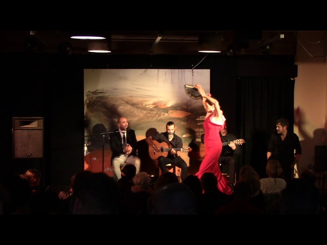 Tablao Flamenco: Flamenco Puro 2019