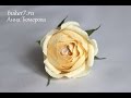 Мастер-класс. Букеты из конфет. АНГЛИЙСКАЯ РОЗА. - Master Class. ENGLISH ROSE