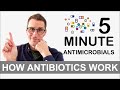 How antibiotics work  5 minute antimicrobials