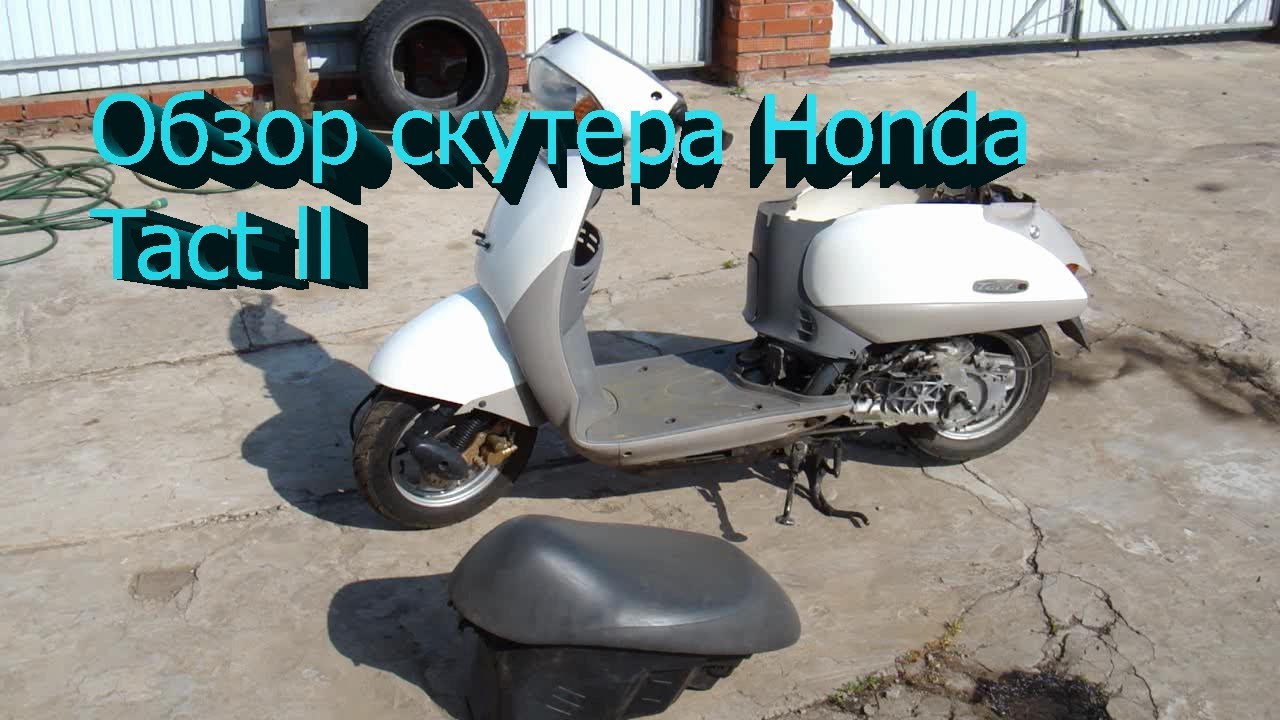 Honda tact тюнинг