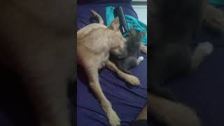 Xuxa E Escrep Brincando