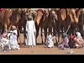 ركض العرضة الهجن والخيل هبطة تاسع ولاية الكامل والوافي الوافي عام 2001 ركض العرضة الهجن والخيل هبطة تاسع ولاية الكامل والوافي الوافي عام 2001