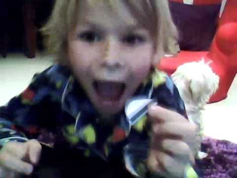 funny dog fight 